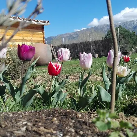 Διαμέρισμα La Del Alberche Navaluenga