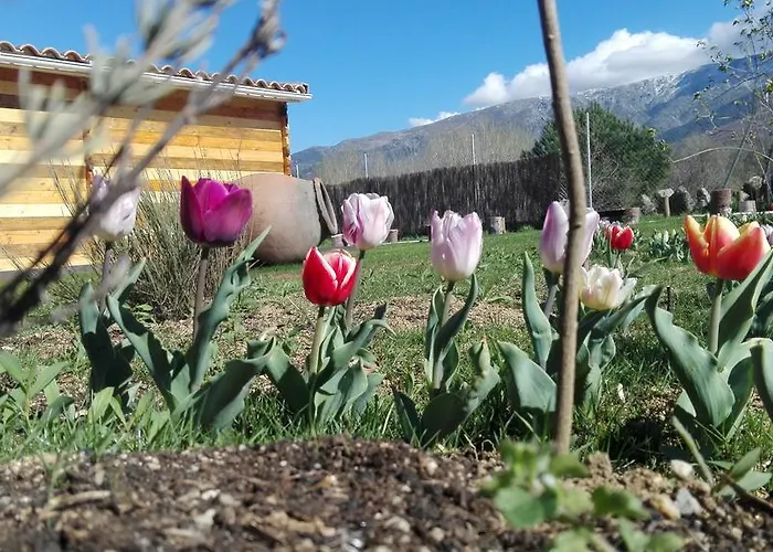 Апартаменты La Cabana Del Alberche Навалуэнга